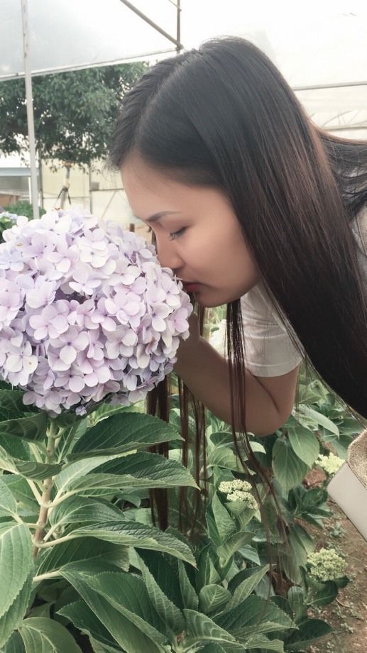 Nước Mắt Hoạ Bì