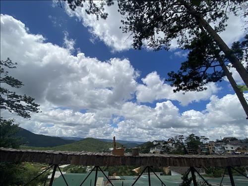 Nắng mai –
Người có thể cùng em làm …..