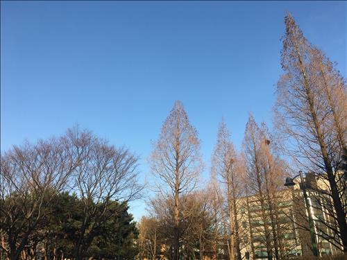 Candy –
Bình thường