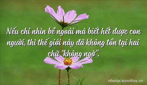 Thanh Thảo –
đàn ông tốt