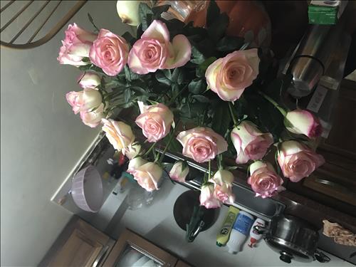 Nguyen Hao –
Chân thành tình cảm         …..