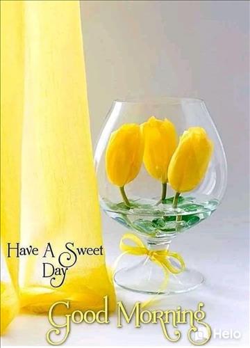 Hoàng Lan –
Vui vẻ,hoà đồng,nghiêm tú…..