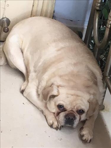 Forever –
Bình thường