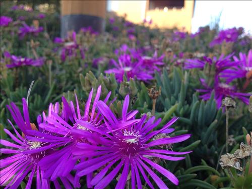 Kim –
Mong muon tim duoc mot nguoi ban …..