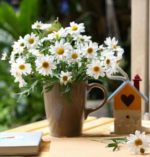 Chuông gió –
Tình cảm, năng động, kiế…..