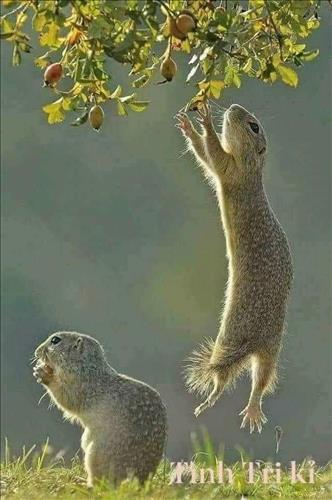 Thu Hiền –
Tôi tìm một người đàn ô…..