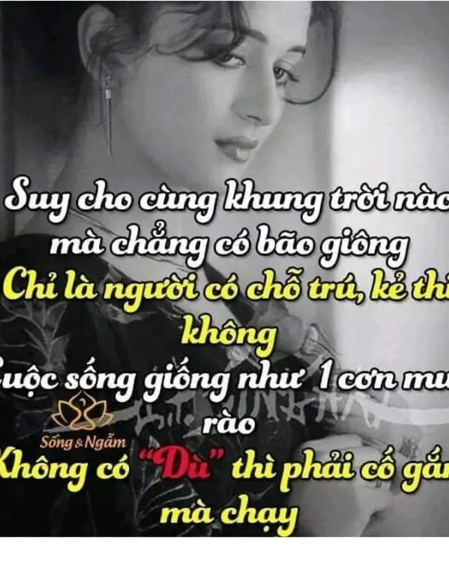 nguyễn thu hà