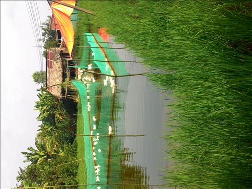 ngan –
Bạn trai chung thủy.vui vẻ……