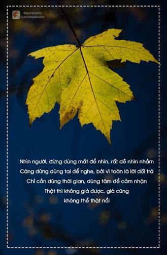 Nguyên –
Chín chắn, thật thà.       …..