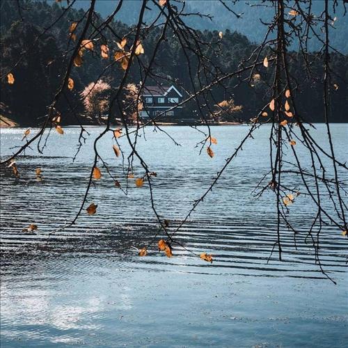 Anna –
Một cơ thể khiếm khuyết …..