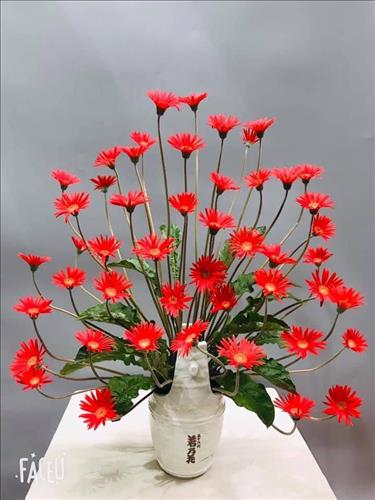 Nga –
Chân thành, là bờ vai rộng…..