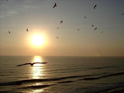 Ánh Dương –
Một người biết cảm thôn…..