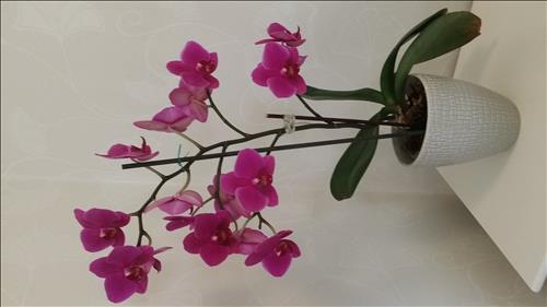 Thu thuy –
Trầm tính.  Vui ve. Biet Cam t…..