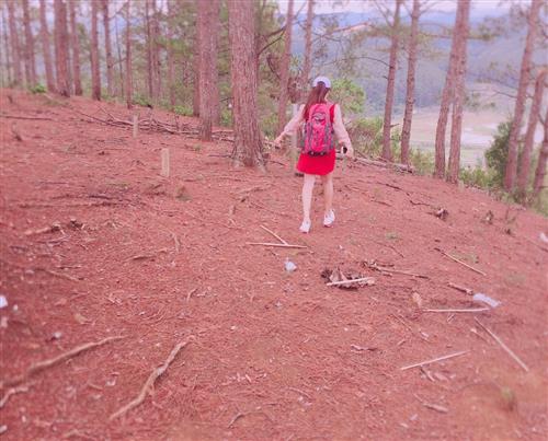 Xí muội  –
Tìm bạn tâm sự