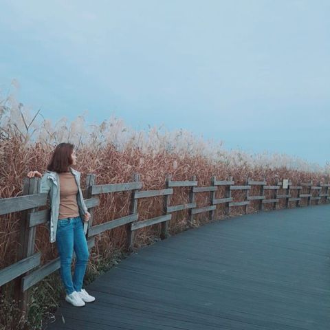 Nhung Ngo – Thật thà