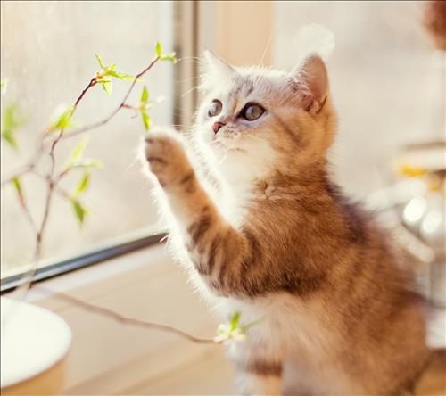 Người giản dị –
Đơn giản, chân thành       …..