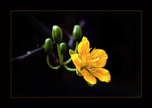 RiêngMột GócTrời –
Tìm bạn giống như tôi.    …..