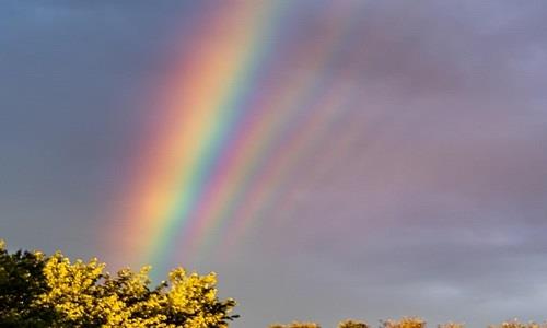 Nguyễn –
Bạn trai phóng khoáng, lịch…..