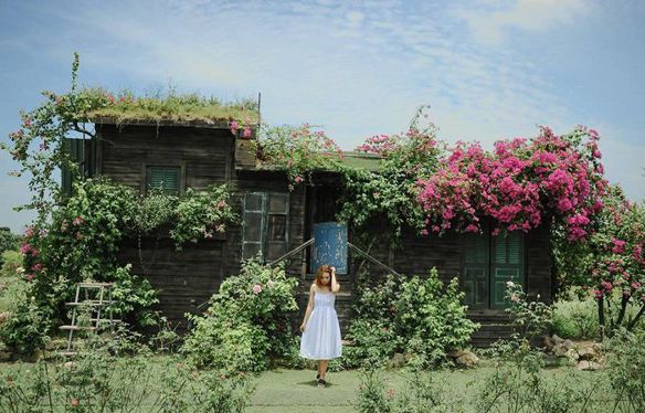 Hương mật – Vui vẻ,hòa động,sâu sắc.