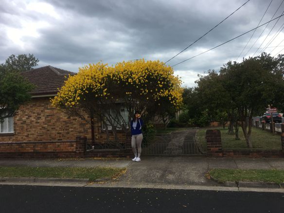 Tiffany Nguyen – Vui vẻ .