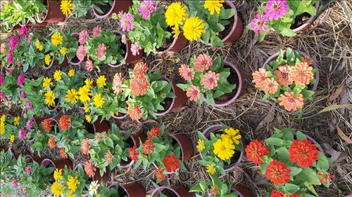 Thảo Nguyễn –
Đơn giản, thật thà, chia s…..