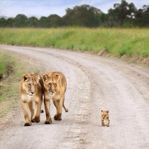 huong –
“Chỉ muốn được yêu ai đ…..