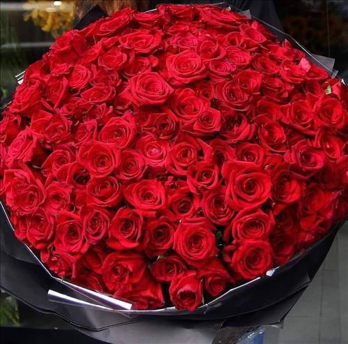 Kim Ngân Trần Thị –
Nữ hiền .ko trẻ con.đồng…..