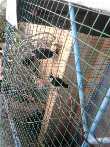 trần thị hồng tiên –
Biết chia sẻ, thông cảm, v…..