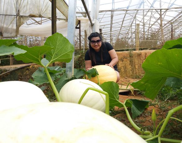 Bảo hân – Vui vẻ, hòa đồng luôn lắng….. chia sẽ