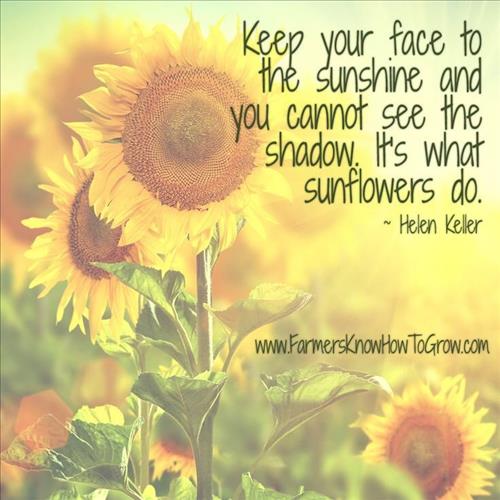 Cappuccino –
Tôi không tìm bạn nữa, xin…..