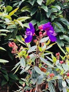 Bình Minh –
Đàn ông đã ly dị, tuổi t…..