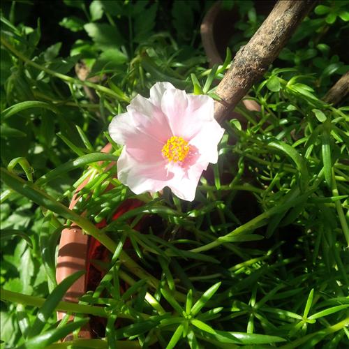 Ngọc Tú –
Bạn vui vẻ, lạc quan, thíc…..