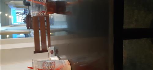 Nắng vàng  –
Hiện tại mình đang gặp m…..