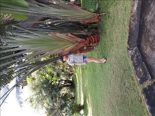 Lê thị trường an –
Tìm kiếm một người trung …..