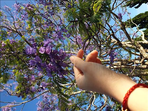 Thu –
Một người để yêu thươn…..