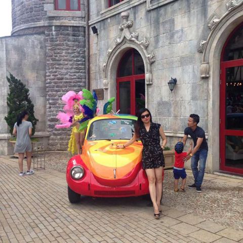 Mai – Lạc quan, ngọt ngào