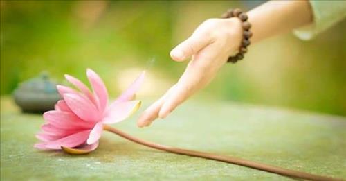 Trần thị ngọc ngà  –
Hiền.chững chạc.hòa đồn…..