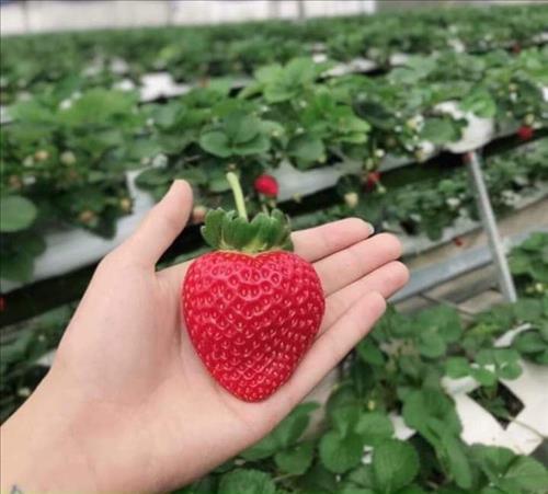 Chạy về nơi phía em –
Yêu một người đâu khó kh…..