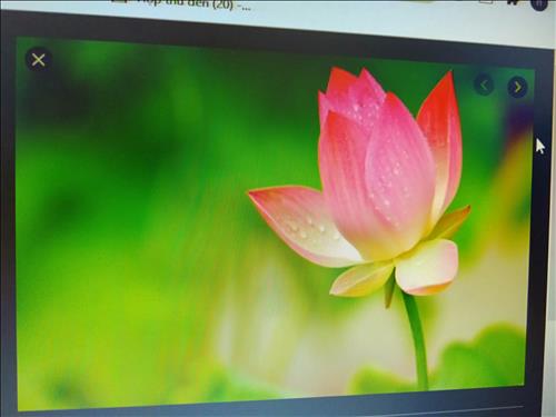 Hong Nguyen –
Mong muốn tìm bạn lâu dài …..