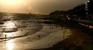 Biển đêm –
1 người bạn