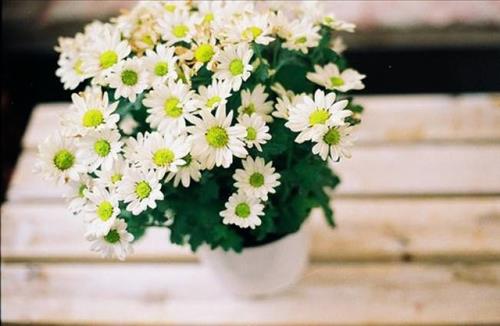 Lưu Ngọc Hân –
Phù hợp