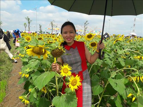 xoan trinh –
Tìm người cùng tôi đi hế…..