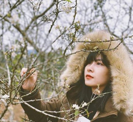 Mị – Nghiêm túc,zalo số 0929832224