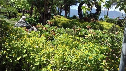 Bích Thi –
Vui tính,  thật thà, biết c…..