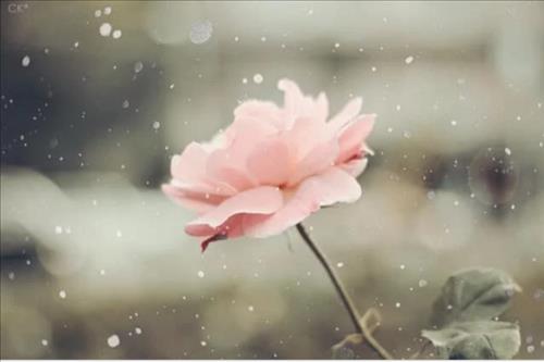 Phương Chi –
Vui vẻ, biết chia sẻ, biế…..