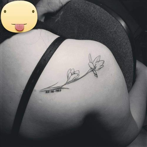 GIUNN –
Tùy tâm tùy duyên tùy phận…..