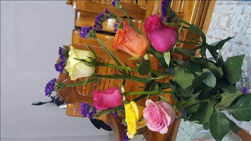 Tina_qn2015 –
Tim ban co tinh vui ve va thang t…..