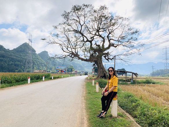 Trâm – không tìm nữa, cảm ơn!