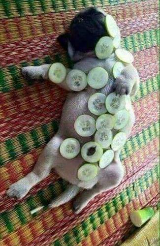 Nguyen –
Chân thực với lòng mik và …..