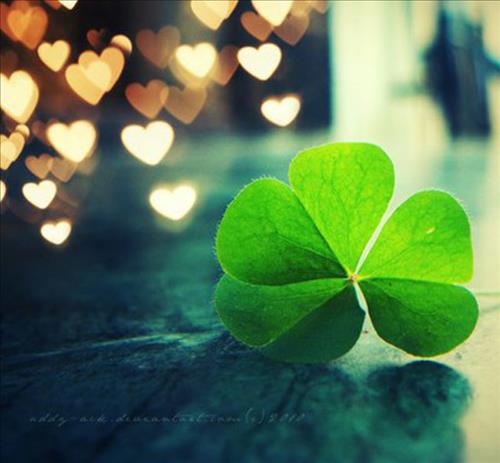 Se mai la tinh nhan –
Chỉ duy nhất 1 người đủ…..